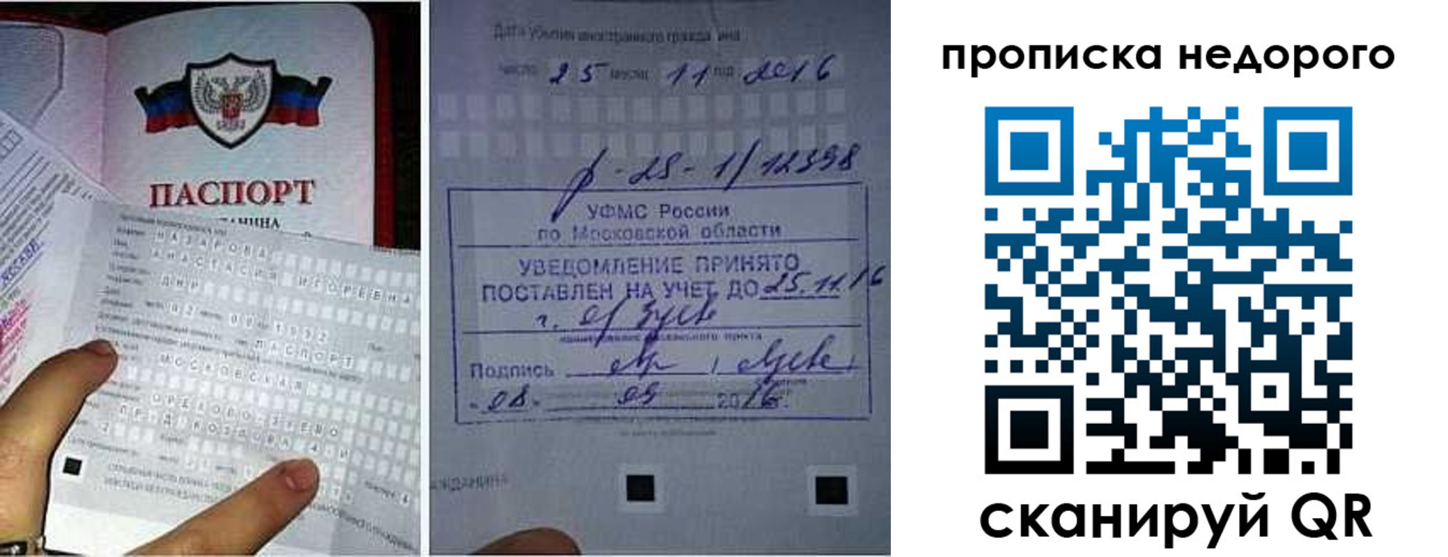 прописка от собственника в Курской области