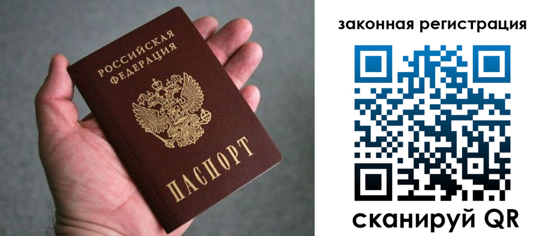 временная регистрация надежно в Курской области