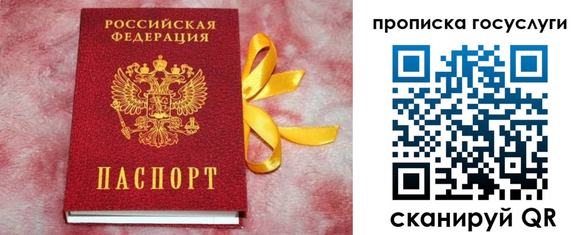 регистрация в Курской области